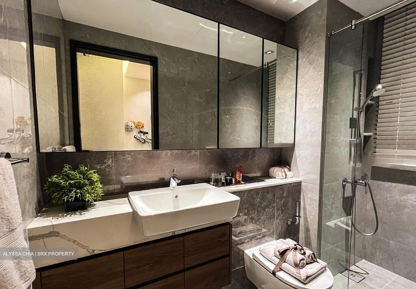 The Landmark (D3), Condominium #463097761